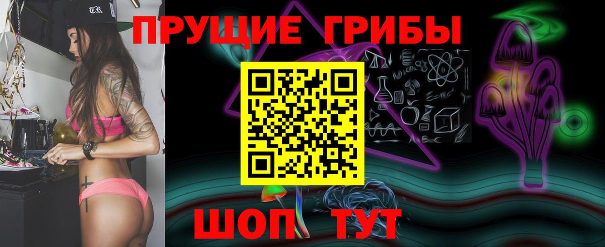 Псилоцибиновые грибы мухоморы Будённовск